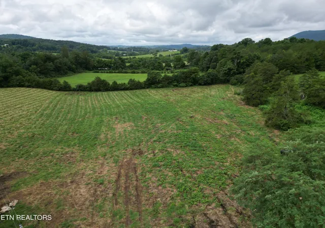 2nd image of 317 Singleton Hollow Rd, Speedwell, TN 37870 | MLS# 3311471