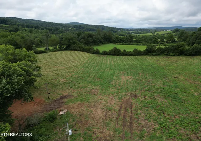3rd image of 317 Singleton Hollow Rd, Speedwell, TN 37870 | MLS# 3311471