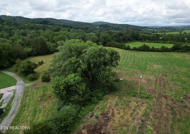 5th image of 317 Singleton Hollow Rd, Speedwell, TN 37870 | MLS# 3311471