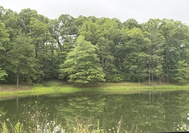 4th image of 1 High Ridge Dr, Nunnelly, TN 37137 | MLS# 3311515
