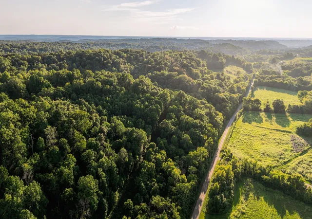 Land for sale at 5051 Jones Valley Rd, Williamsport, TN 38487 | MLS# 3541239