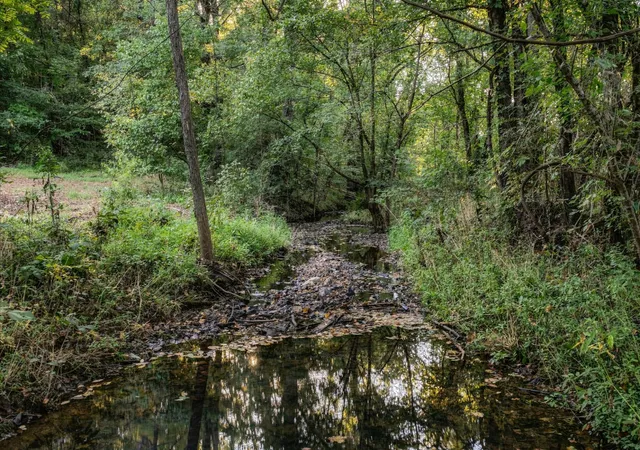 Photo 2 of Land for sale at 5051 Jones Valley Rd, Williamsport, TN 38487 | MLS# 3541239 | Listing updated on 2026-09-04