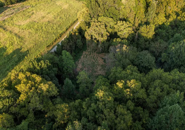 Photo 3 of Land for sale at 5051 Jones Valley Rd, Williamsport, TN 38487 | MLS# 3541239 | Listing updated on 2026-09-04