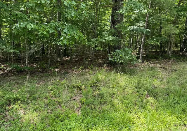 2nd image of 0 Arrow Trail, Monterey, TN 38574 | MLS# 3311646