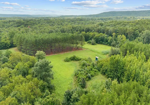 1st image of 0 Coffelt Town Road, Gruetli Laager, TN 37339 | MLS# 3336127
