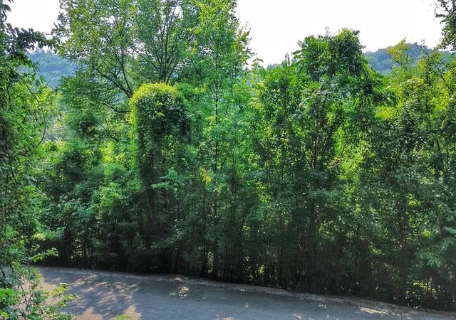 Photo 2 of Land for sale at 0 Williamson Cir, Smithville, TN 37166 | MLS# 3314549 | Listing updated on 2026-07-31