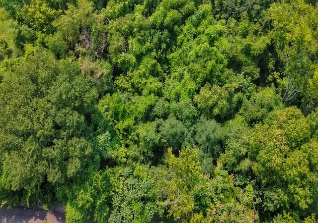 Photo 3 of Land for sale at 0 Williamson Cir, Smithville, TN 37166 | MLS# 3314549 | Listing updated on 2026-07-31