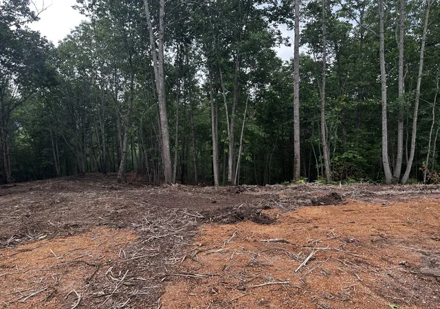 2nd image of 322 Briarwood Dr, Linden, TN 37096 | MLS# 3311686