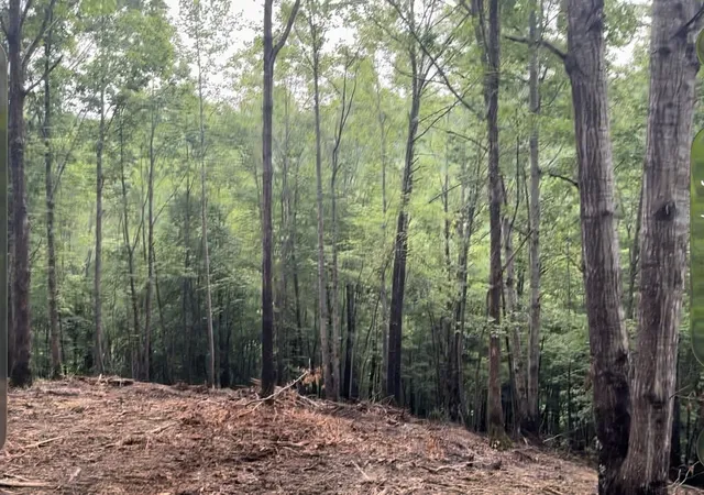 Photo 3 of Land for sale at 322 Briarwood Dr, Linden, TN 37096 | MLS# 3311686 | Listing updated on 2026-07-29