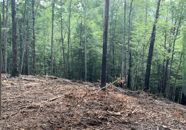 Photo 4 of Land for sale at 322 Briarwood Dr, Linden, TN 37096 | MLS# 3311686 | Listing updated on 2026-07-29