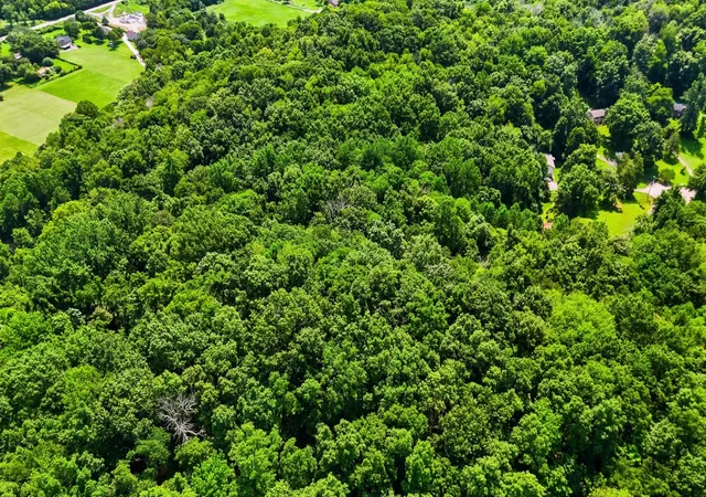 Photo 3 of Land for sale at 0 Whites Crk Pike, Whites Creek, TN 37189 | MLS# 3311792 | Listing updated on 2026-09-02