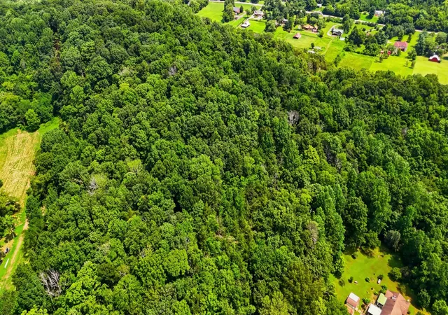 4th image of 0 Whites Creek Pike, Whites Creek, TN 37189 | MLS# 3311792