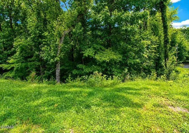 2nd image of 53 Hid View Street Street, Pigeon Forge, TN 37863 | MLS# 3311791