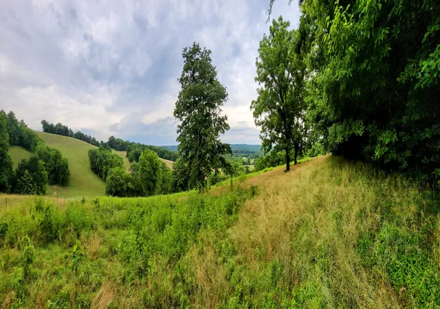 9th image of 0 Access Rd, Pulaski, TN 38478 | MLS# 3311835