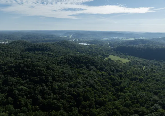 2nd image of 1100 Pond Creek Rd, Ashland City, TN 37015 | MLS# 3516160