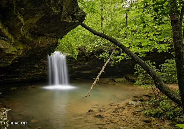 3rd image of 0 Dripping Springs Rd, Monterey, TN 38574 | MLS# 3311837