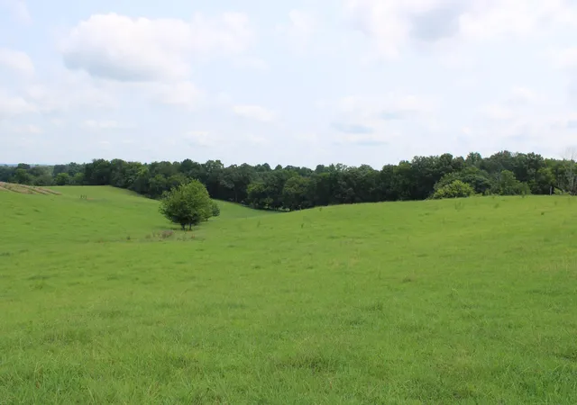 2nd image of 0 Depot Rd, Rock Island, TN 38581 | MLS# 3312265