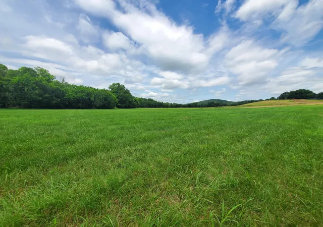 Photo 1 of Land for sale at 0 Plunkett Crk Rd, Gordonsville, TN 38563 | MLS# 3312624 | Listing updated on 2026-07-30