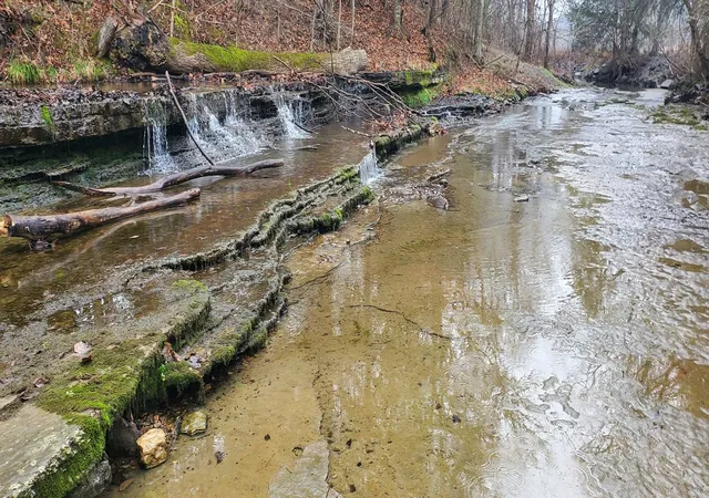 Photo 3 of Land for sale at 0 Plunkett Crk Rd, Gordonsville, TN 38563 | MLS# 3312624 | Listing updated on 2026-07-30