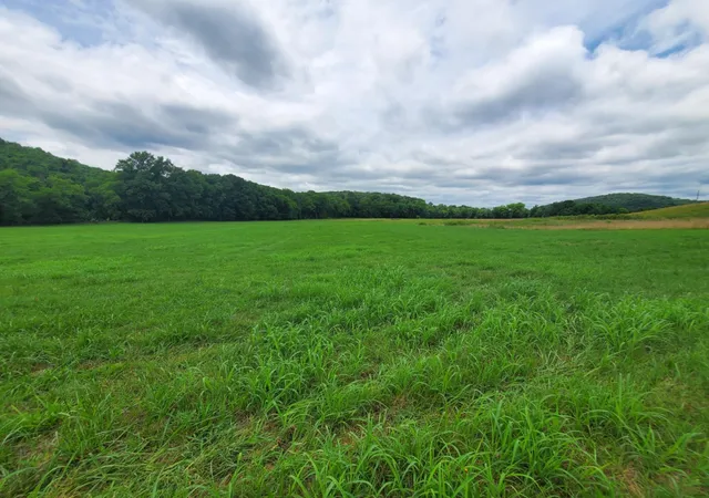 Photo 4 of Land for sale at 0 Plunkett Crk Rd, Gordonsville, TN 38563 | MLS# 3312624 | Listing updated on 2026-07-30