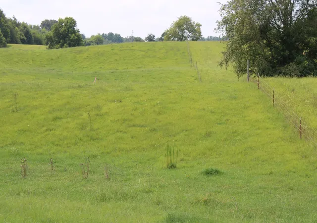 Photo 3 of Sale Pending at 0 Mcgiboney Rd, Rock Island, TN 38581 | MLS# 3312262 | Listing updated on 2026-10-07