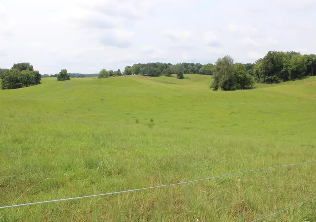 1st image of 0 Mcgiboney Rd, Rock Island, TN 38581 | MLS# 3312266
