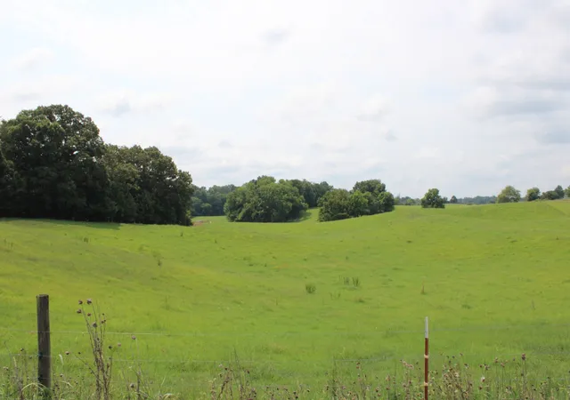 2nd image of 0 Mcgiboney Rd, Rock Island, TN 38581 | MLS# 3312266