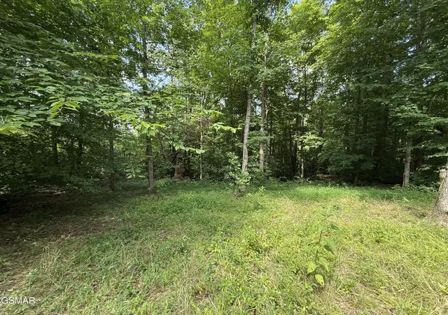 1st image of 171 Jack Green Road, Whitleyville, TN 38588 | MLS# 3312089