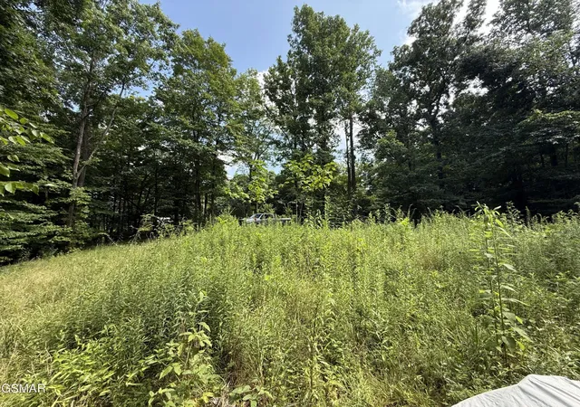 2nd image of 171 Jack Green Road, Whitleyville, TN 38588 | MLS# 3312089