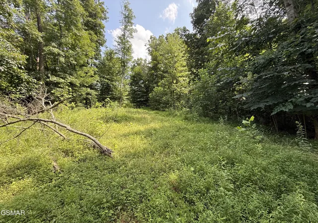 3rd image of 171 Jack Green Road, Whitleyville, TN 38588 | MLS# 3312089