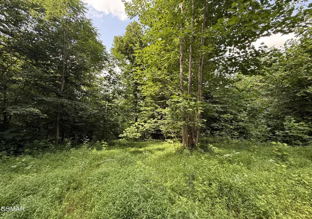 4th image of 171 Jack Green Road, Whitleyville, TN 38588 | MLS# 3312089