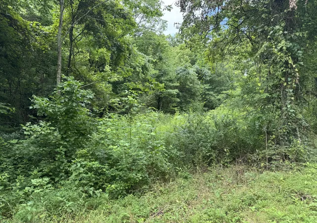 1st image of 0 Denton Rd, Linden, TN 37096 | MLS# 3312113
