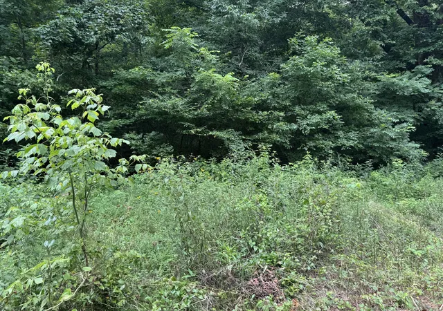 2nd image of 0 Denton Rd, Linden, TN 37096 | MLS# 3312113