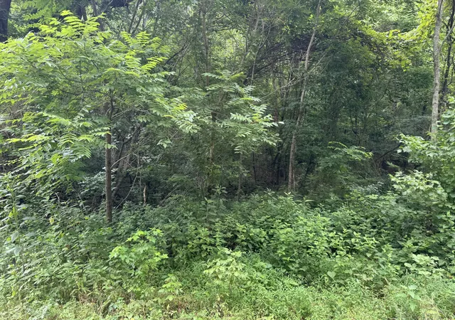 3rd image of 0 Denton Rd, Linden, TN 37096 | MLS# 3312113