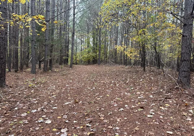 2nd image of 316 Arbor, Linden, TN 37096 | MLS# 3335390