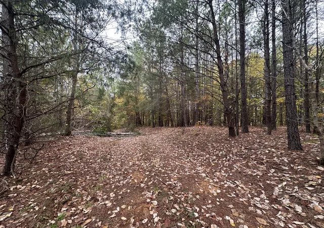 10th image of 316 Arbor, Linden, TN 37096 | MLS# 3335390