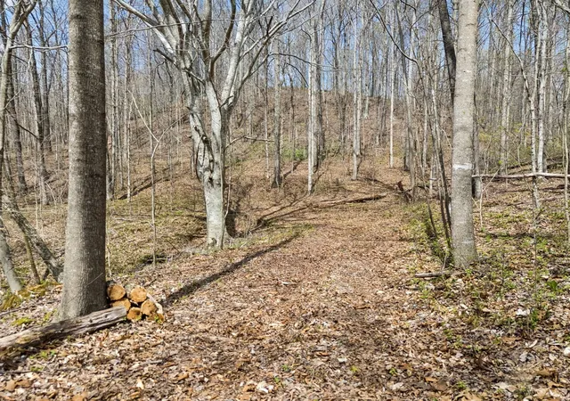 1st image of 0 Old Hwy 31e, Westmoreland, TN 37186 | MLS# 3314523