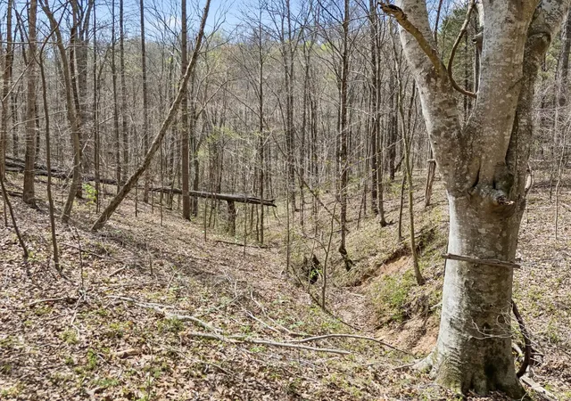 3rd image of 0 Old Hwy 31E, Westmoreland, TN 37186 | MLS# 3314523