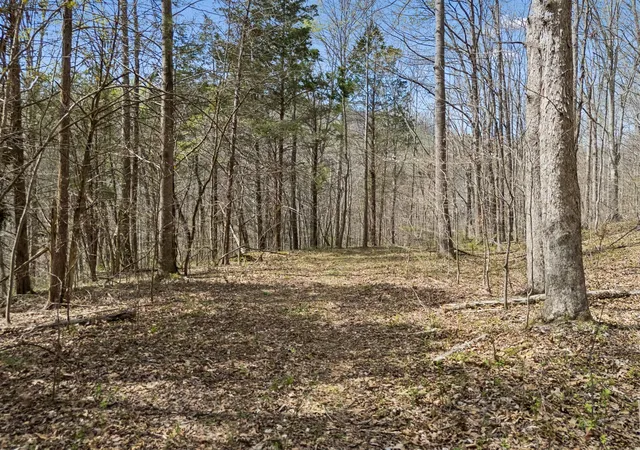 4th image of 0 Old Hwy 31E, Westmoreland, TN 37186 | MLS# 3314523