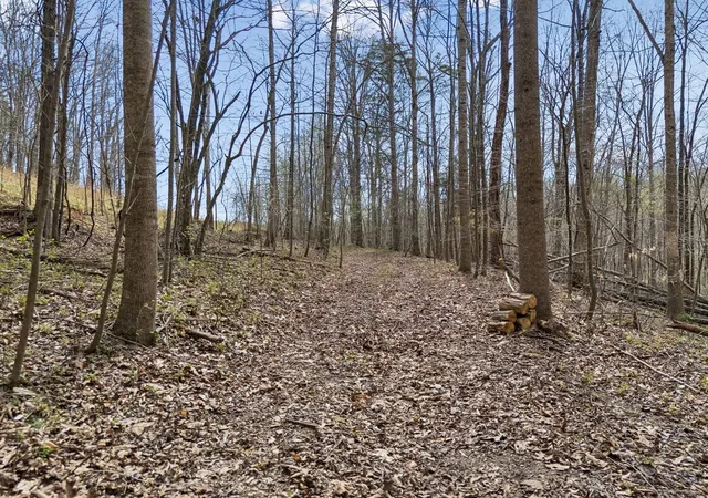 5th image of 0 Old Hwy 31E, Westmoreland, TN 37186 | MLS# 3314523