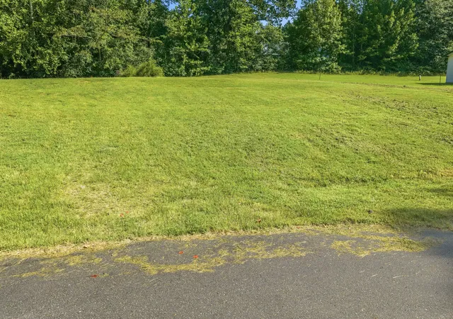 Photo 3 of Sale Pending at 0 Tyann St, Camden, TN 38320 | MLS# 3527843 | Listing updated on 2026-10-05