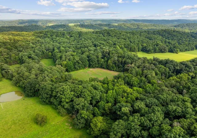 3rd image of 379 County Road 48, Athens, TN 37303 | MLS# 3312311