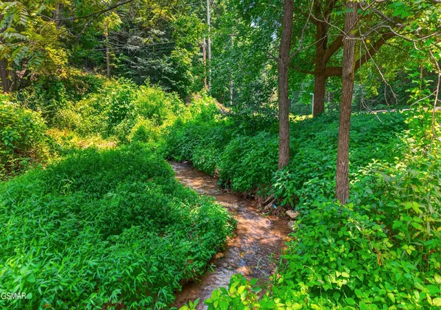 5th image of 10 Maple Hill Way, Gatlinburg, TN 37738 | MLS# 3312454