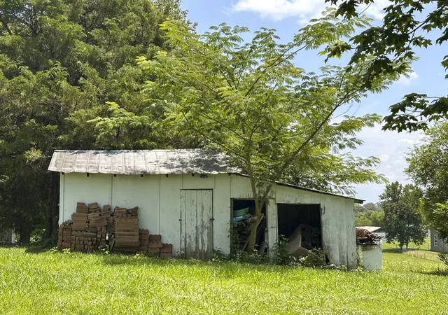 11th image of 2105 Walnut St, White Pine, TN 37890 | MLS# 3312491