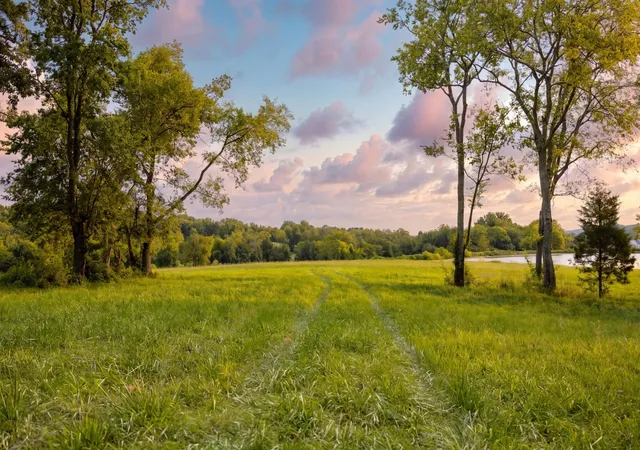 Photo 1 of Land for sale at 3009 Snowbird Ct, Franklin, TN 37064 | MLS# 3314435 | Listing updated on 2026-08-12