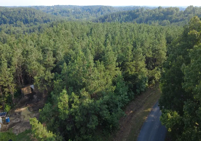 2nd image of 0 Rockhouse Rd, Linden, TN 37096 | MLS# 3335780