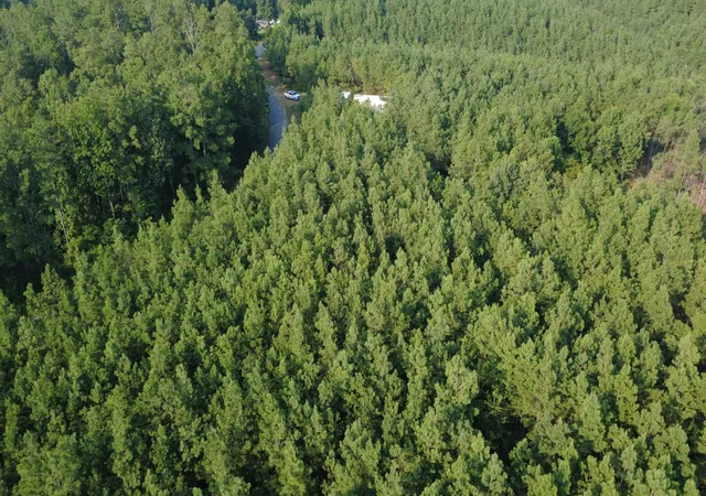 3rd image of 0 Rockhouse Rd, Linden, TN 37096 | MLS# 3335780