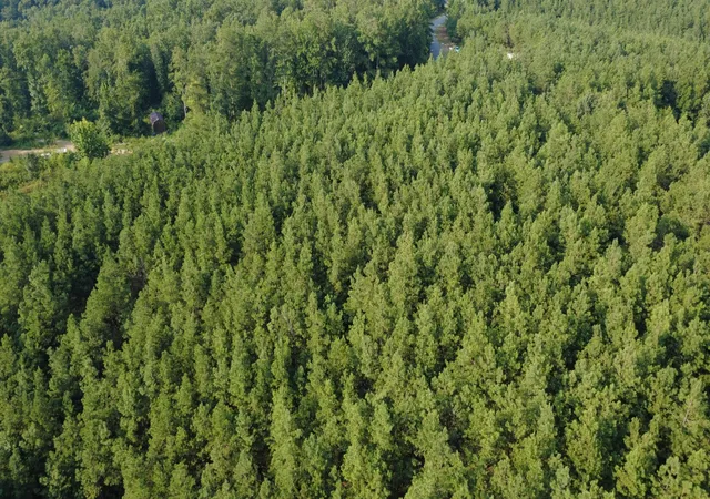 4th image of 0 Rockhouse Rd, Linden, TN 37096 | MLS# 3335780