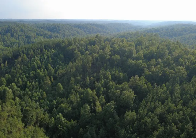 5th image of 0 Rockhouse Rd, Linden, TN 37096 | MLS# 3335780