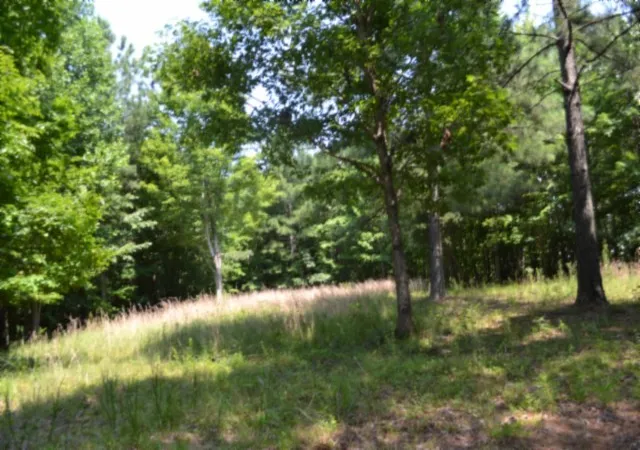 1st image of 0 Topside Dr, Spencer, TN 38585 | MLS# 3312675